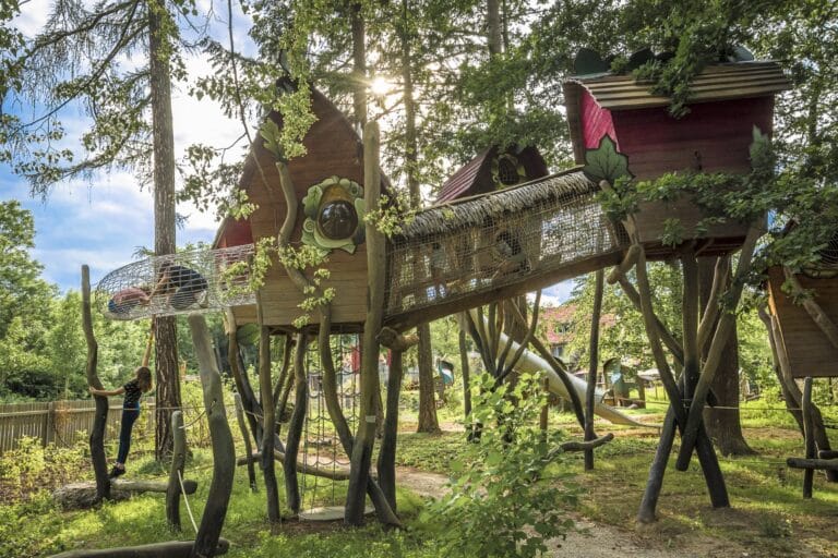 Angebot: Baumkronenpfad & Erlebniswelten